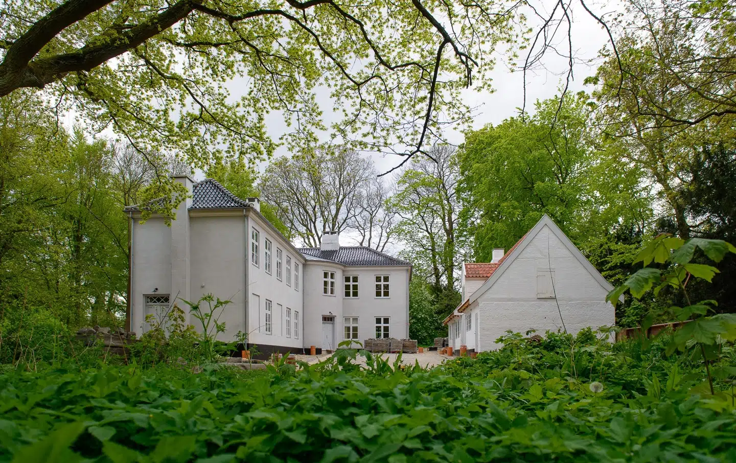 Fasangården i Frederiksberg Have har eksisteret siden 1682. Nu åbnes den igen op for offentlig adgang for danskerne.