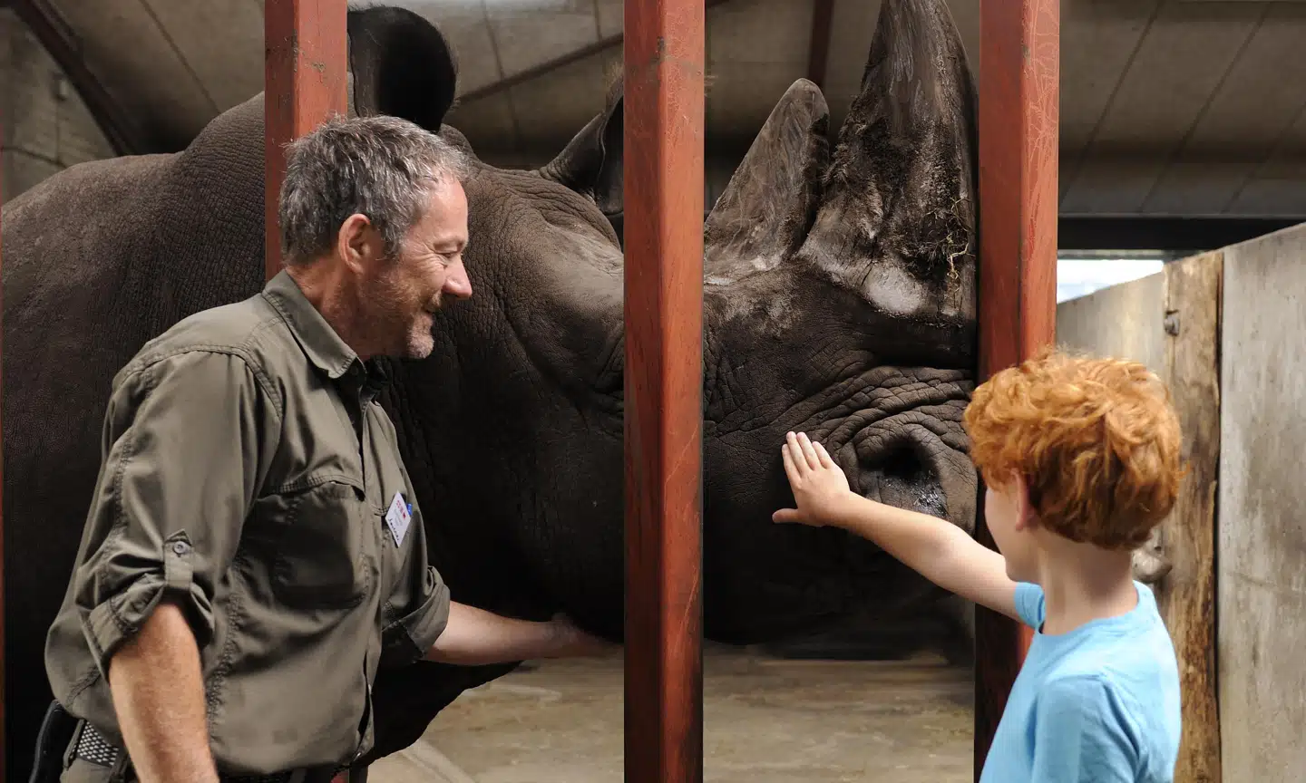 Ifølge direktør i Givskud Zoo, Richard Østerballe, er dyreparken konkurstruet, hvis ikke den inden længe kan åbne for gæster. Foto: Givskud Zoo.