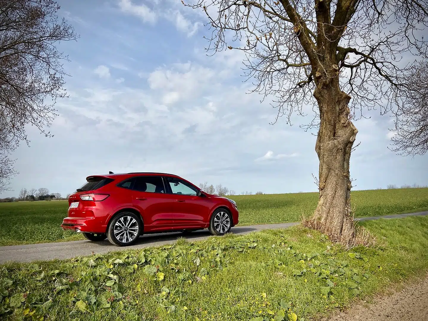 Afgiftsfordelen for plug-in-hybrider gør Ford Kuga PHEV over 100.000 kroner billigere end andre SUVer med dens størrelse og udstyrsniveau.