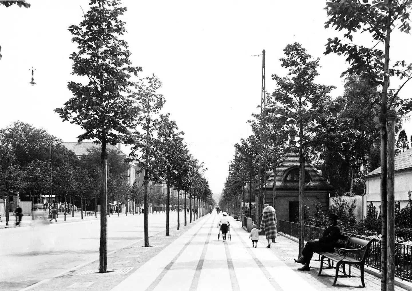 Et nostalgisk tilbageblik på den oprindelige bænk, som nu vender tilbage til Frederiksberg Allé.