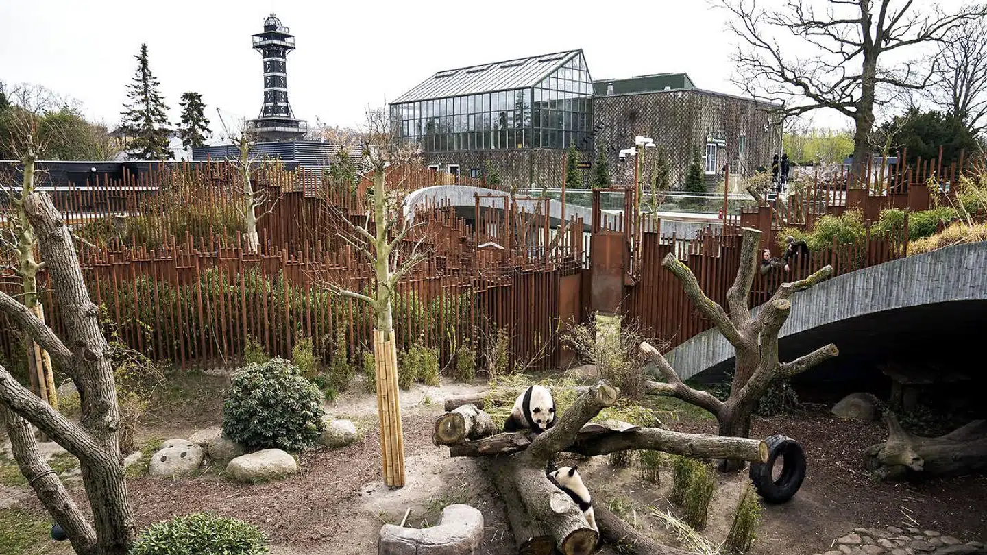 Situationen i Københavns Zoo er meget, meget alvorlig, fortæller administrerende direktør Jørgen Nielsen, efter at myndighederne har frarådet den ellers planlagte åbning 1. maj.