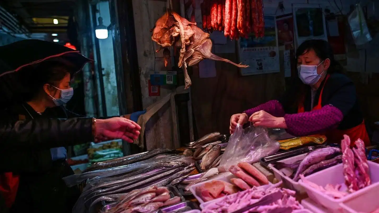 Coronavirussen menes at være opstået fra et madmarked, der har solgt fisk og kød samt eksotiske dyr i Wuhan, men ifølge WHO er det ikke muligt at fastslå det endegyldigt.