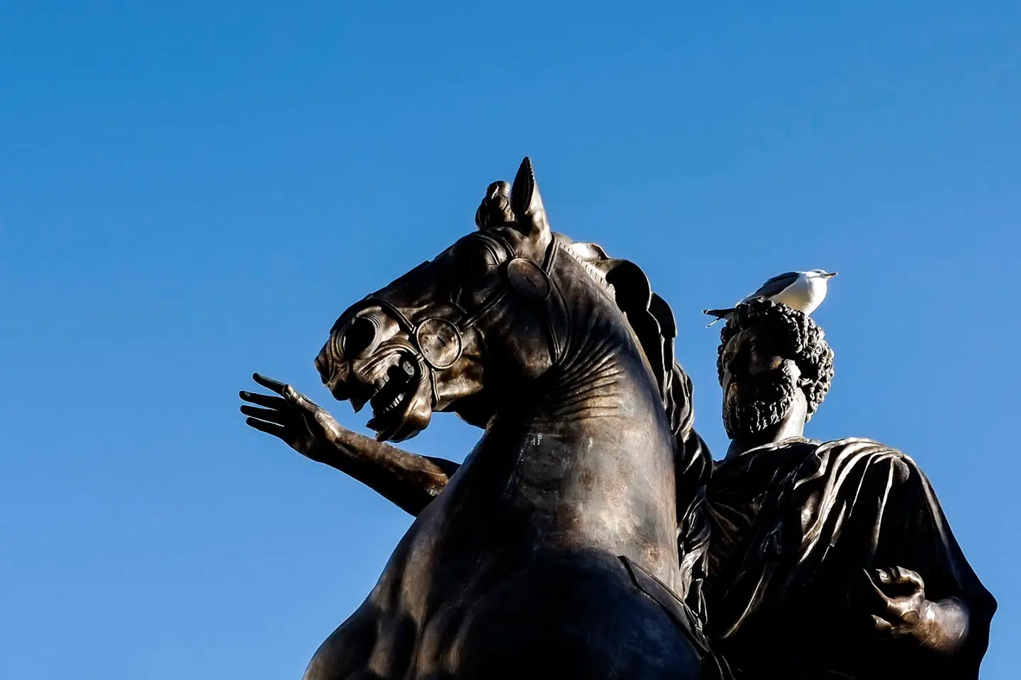Marcus Aurelius står i dag som antik rytterstatue midt i Rom og forholder sig forhåbentlig stoisk til mågerne.