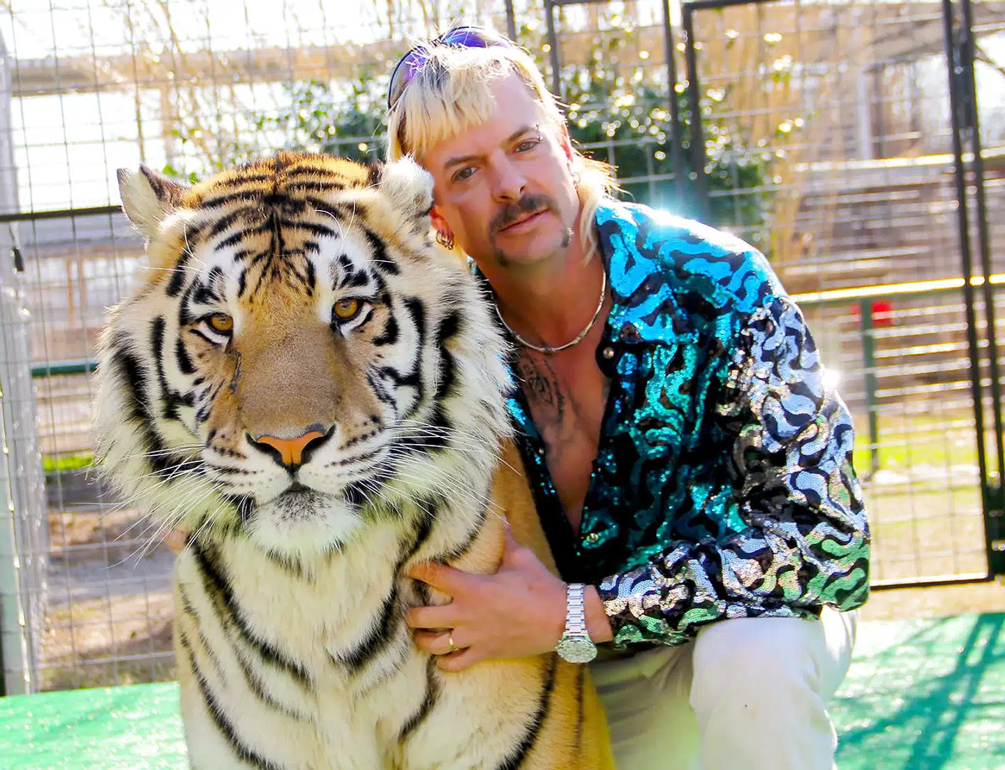 Joe Exotic med en af de tigre, han bruger som underholdning, livsmakkere og trædesten i serien »Tiger King«, der både kaldes uetisk og dårlig smag af et stigende antal kritikere.