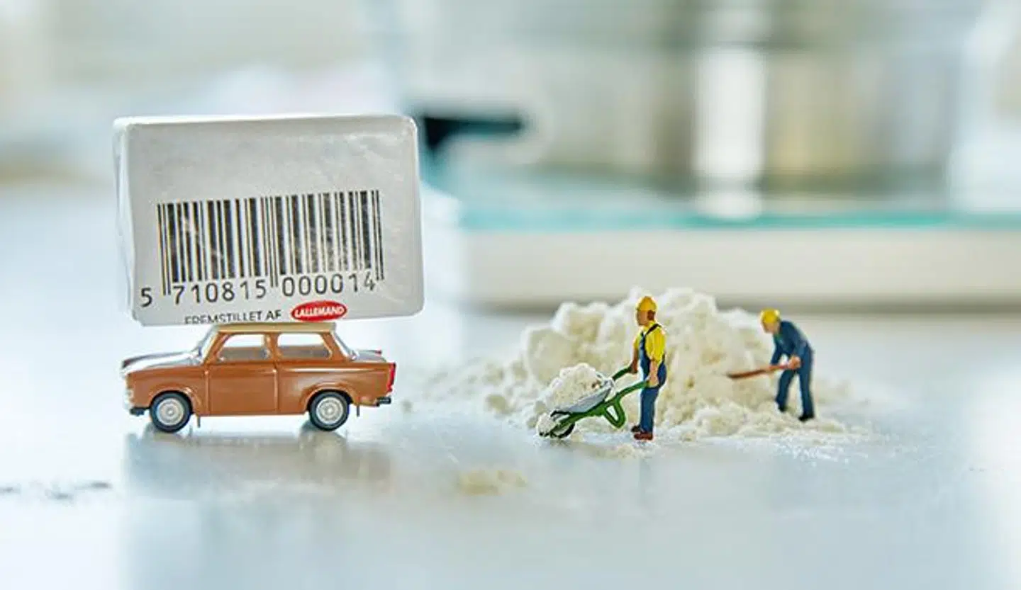 Der hamstres – i det små. Foto: Bering Foto