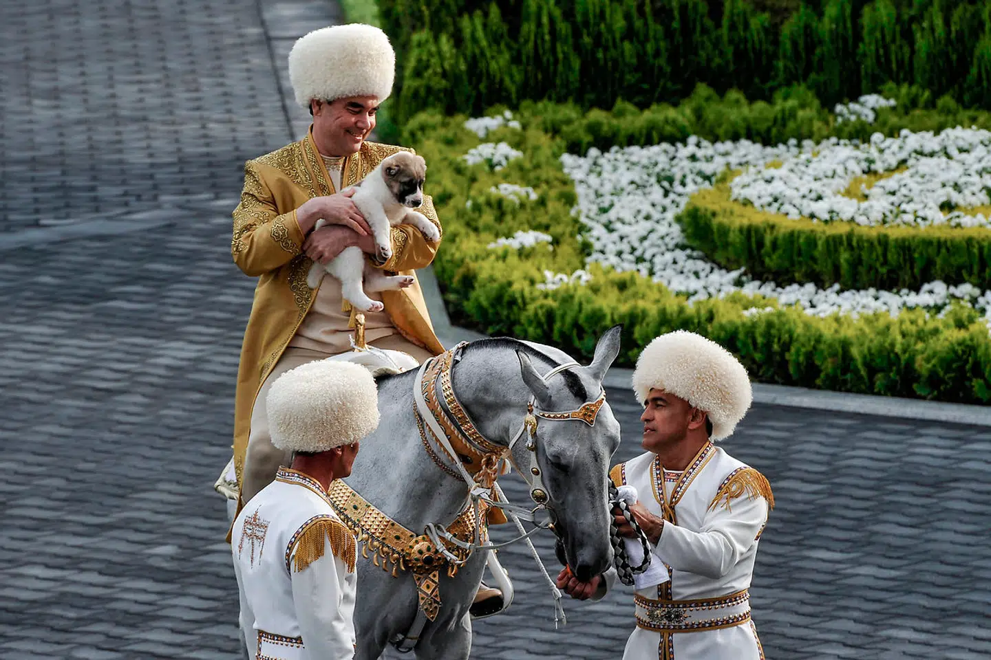 Bileder af Turkmenistans præsident, Gurbanguly Berdymukhamedov, gik verden rundt, da han i 2017 overrakte en hundehvalp til Vladimir Putin. Se videoen i artiklen.