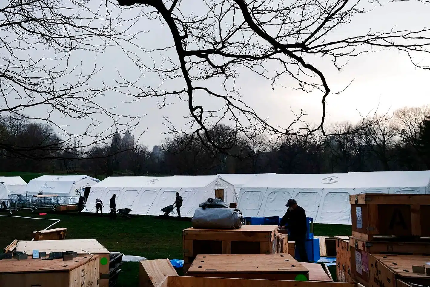 Et akut felthospital er under oprettelse i New Yorks Central Park, for at storbyen kan få ekstra sengekapacitet til de mange syge af coronavirus, der ventes de næste uger.