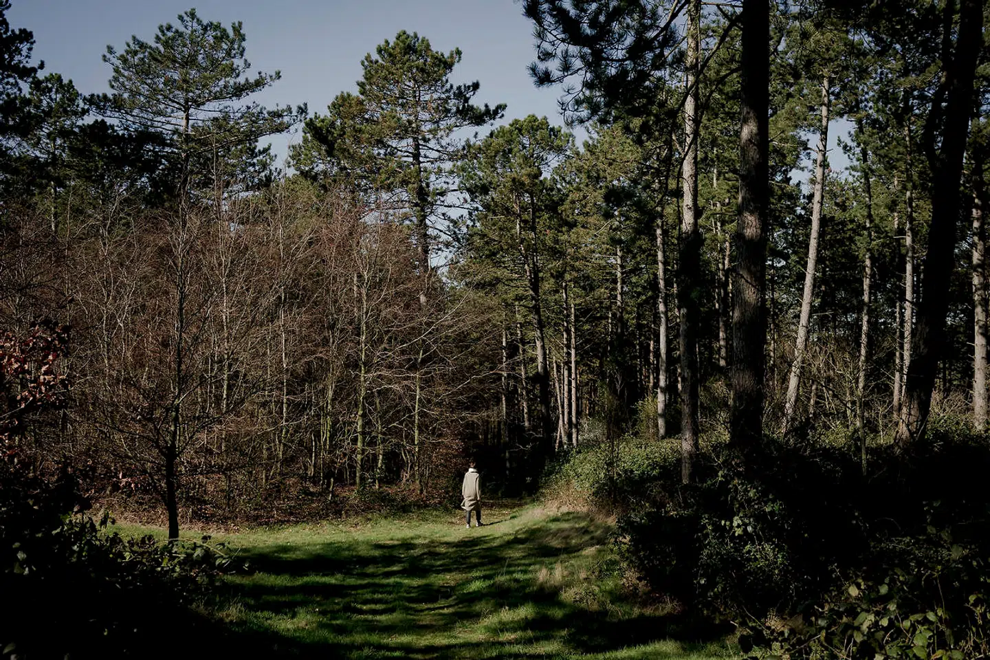 Statminister Mette Frederiksen opfordrer danskerne til at gå ture i det gode vejr, men at man skal huske at holde afstand. Langs søerne i København er der i den forgangne uge lavet ensretning for de gående, men på Helgenæs på Djursland, er der langt mellem fodgængerne.
