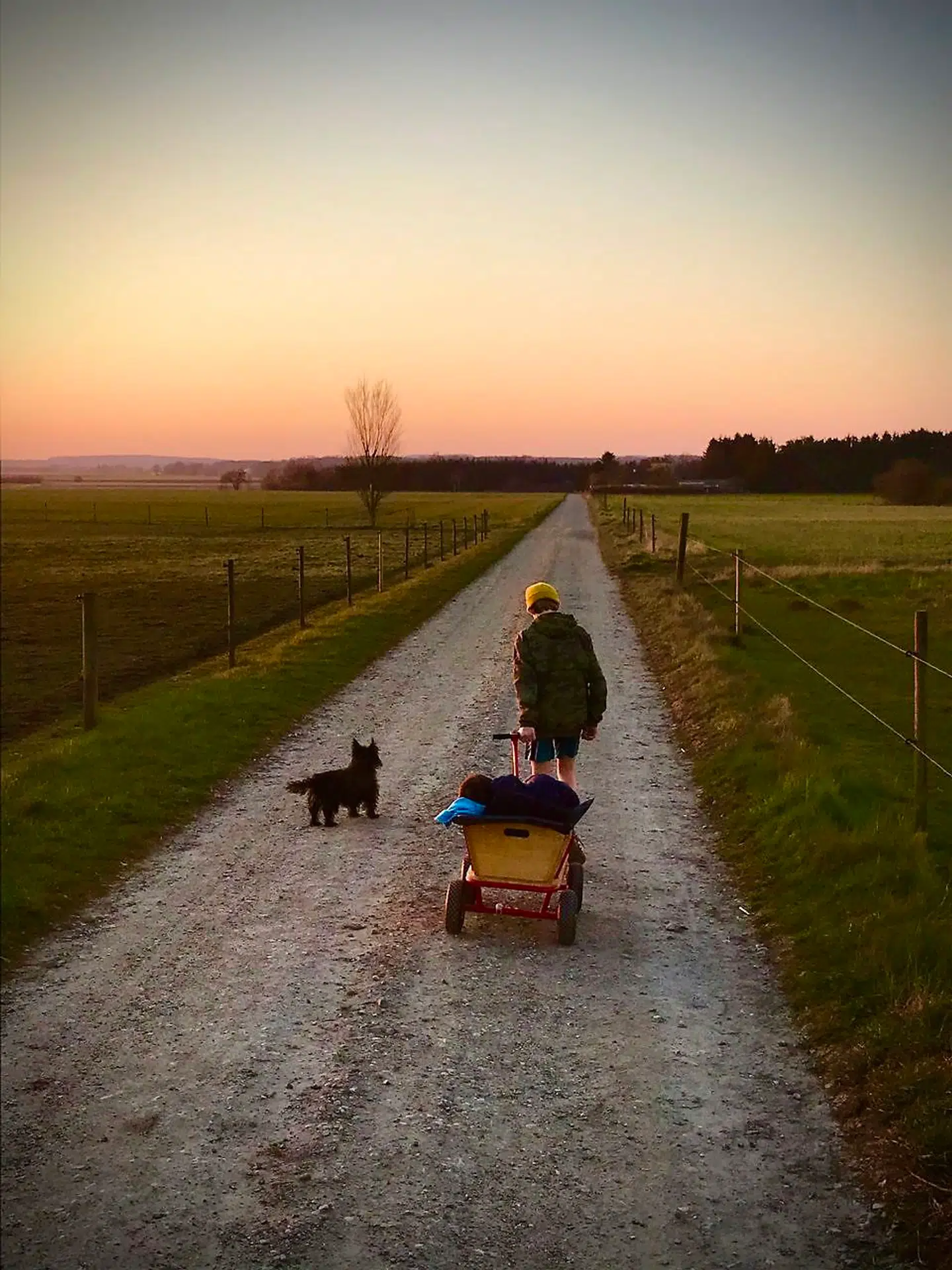 Klokken er 18.30 i Kirke Eskilstrup på midtsjælland. Bjørn på 13 år og hunden Olga går tur med lillebror Svend på 8 år. Den lange tid uden skole og venner begynder at tære på søskendeflokken – med Bjørns ord: »Kan ikke holde det ud længere.«