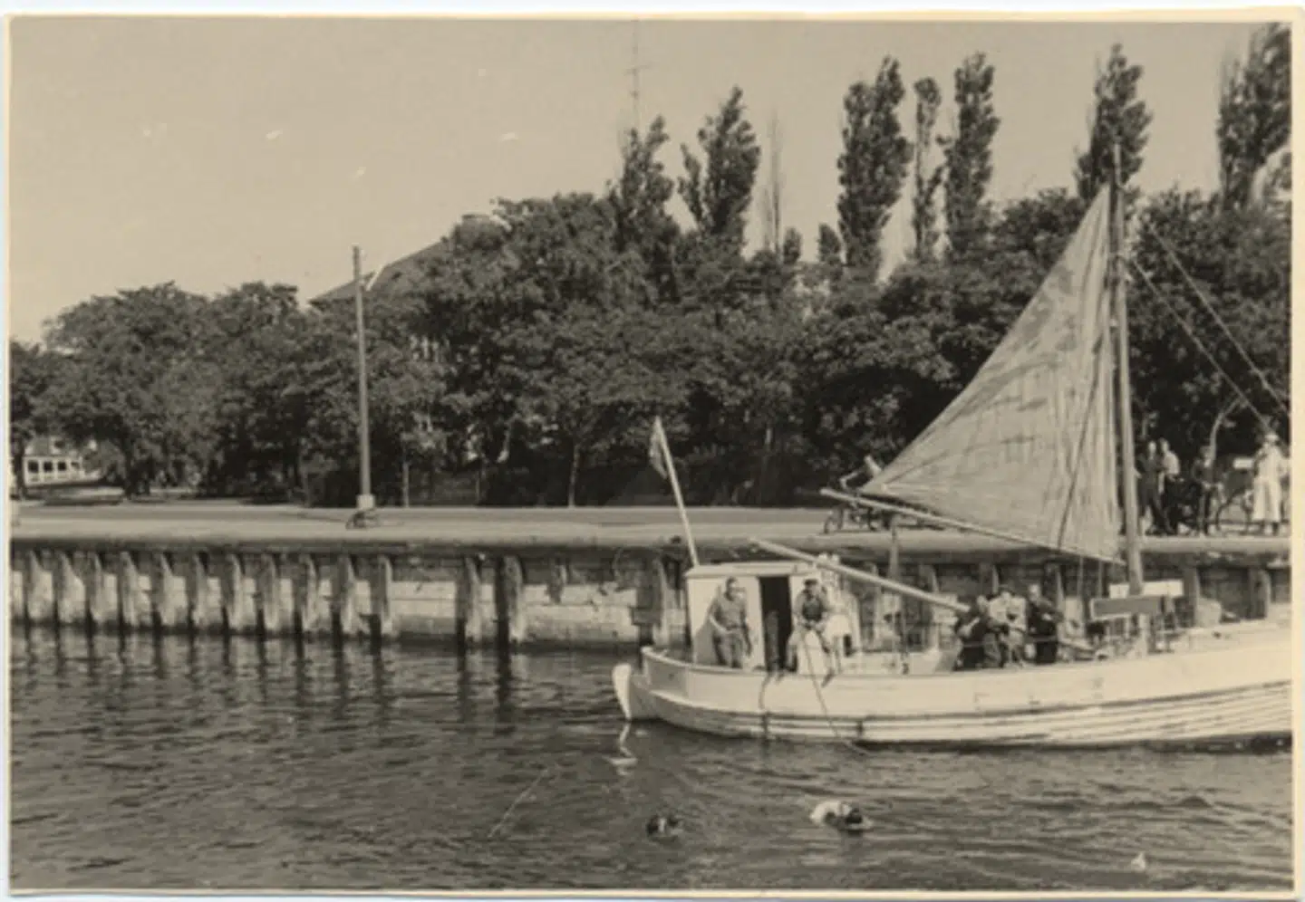 På dette danske pressefoto kan man ane familien Rocek i vandet kort før redningen.
