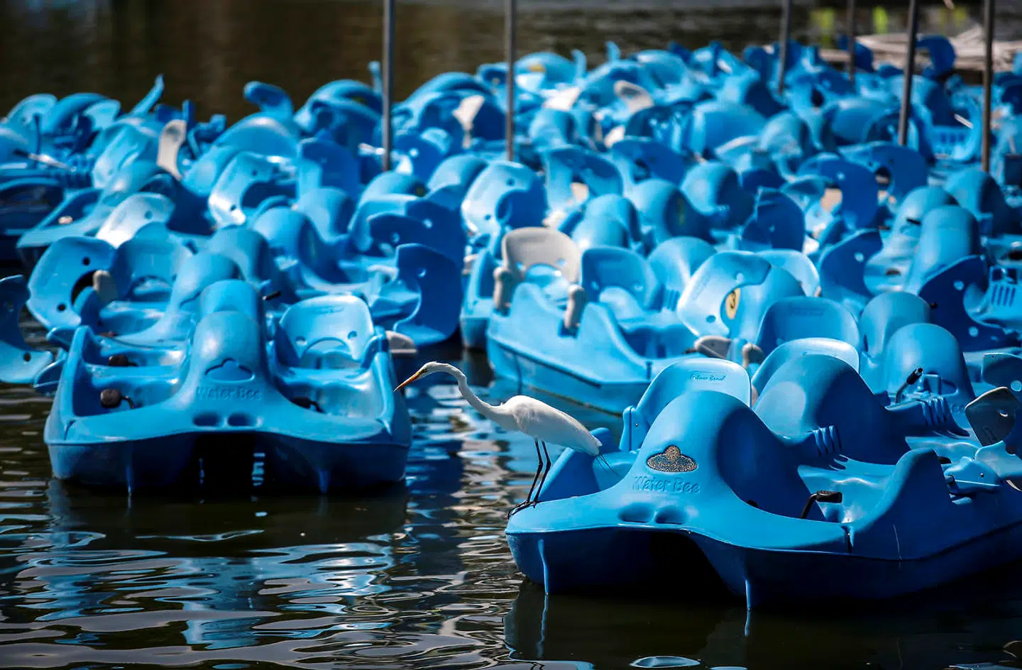 Mexico City. 22. marts.