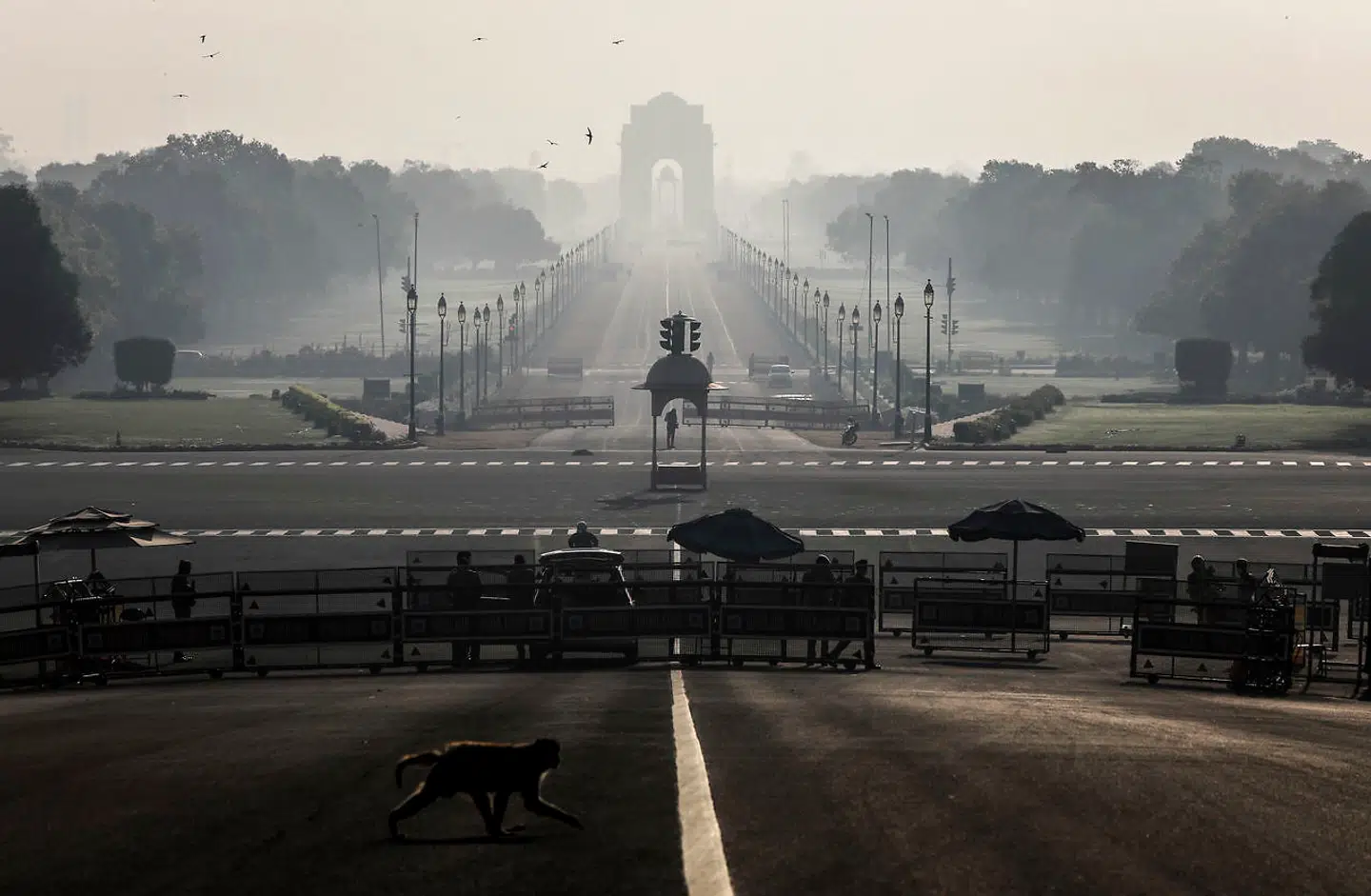 New Delhi, Indien. 22. marts.