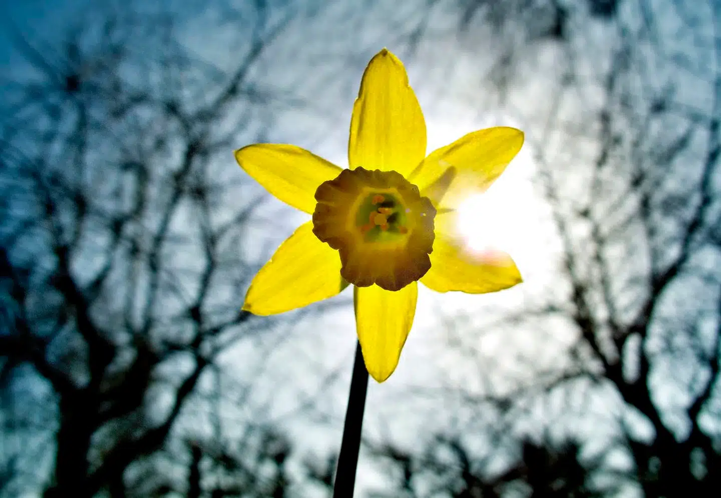 Der er forårsluft at spore i aktiemarkedet tirsdag. Danske aktier havde deres bedste dag, siden C25-indekset blev oprettet i 2016.