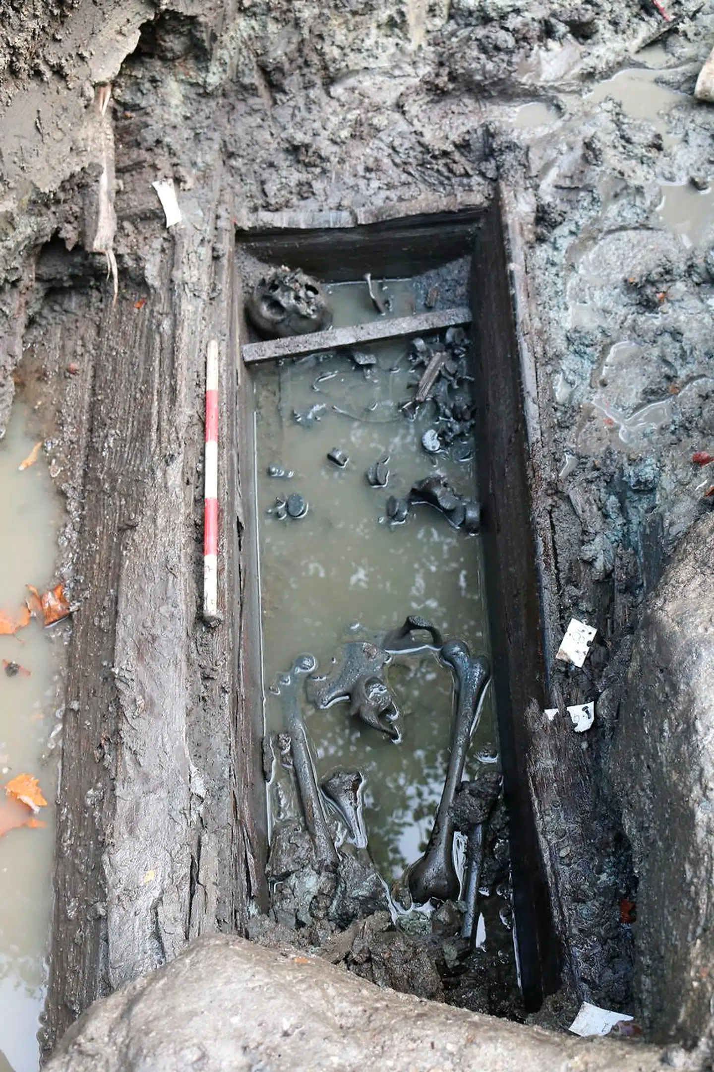 Sidste år stødte man på et udsnit af en pestkirkegård under Skolen ved Søerne. Mange steder i litteraturen er det beskrevet, hvordan københavnere blev begravet i massegrave, men her er et eksempel på, at en del også blev begravet i separate kister.