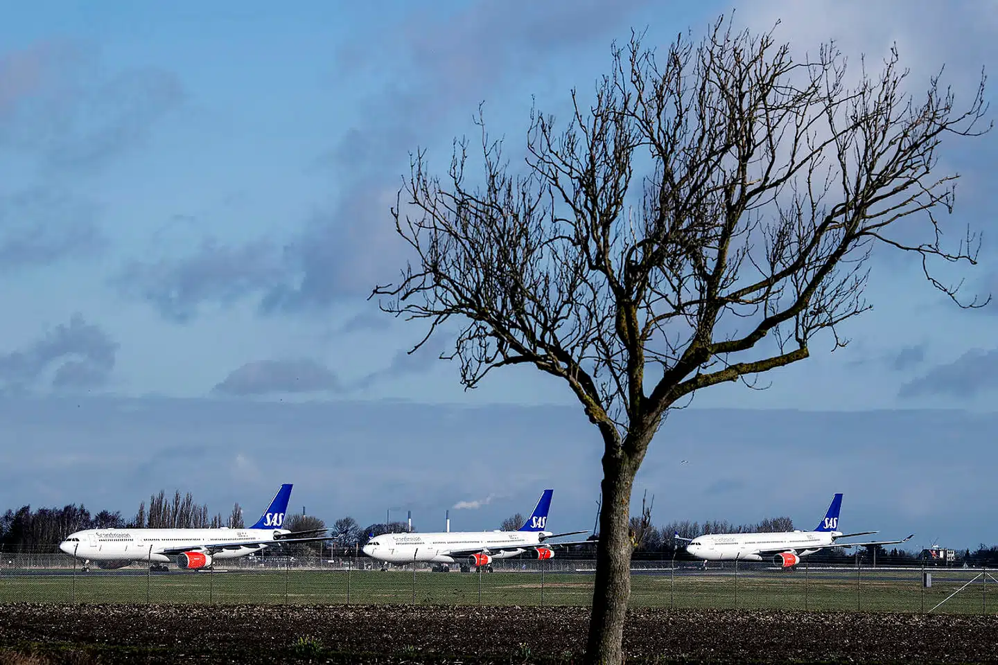 Massevis af fly holder parkeret som følge coronakrisen. Her der det SAS-fly i Københavns Lufthavn.