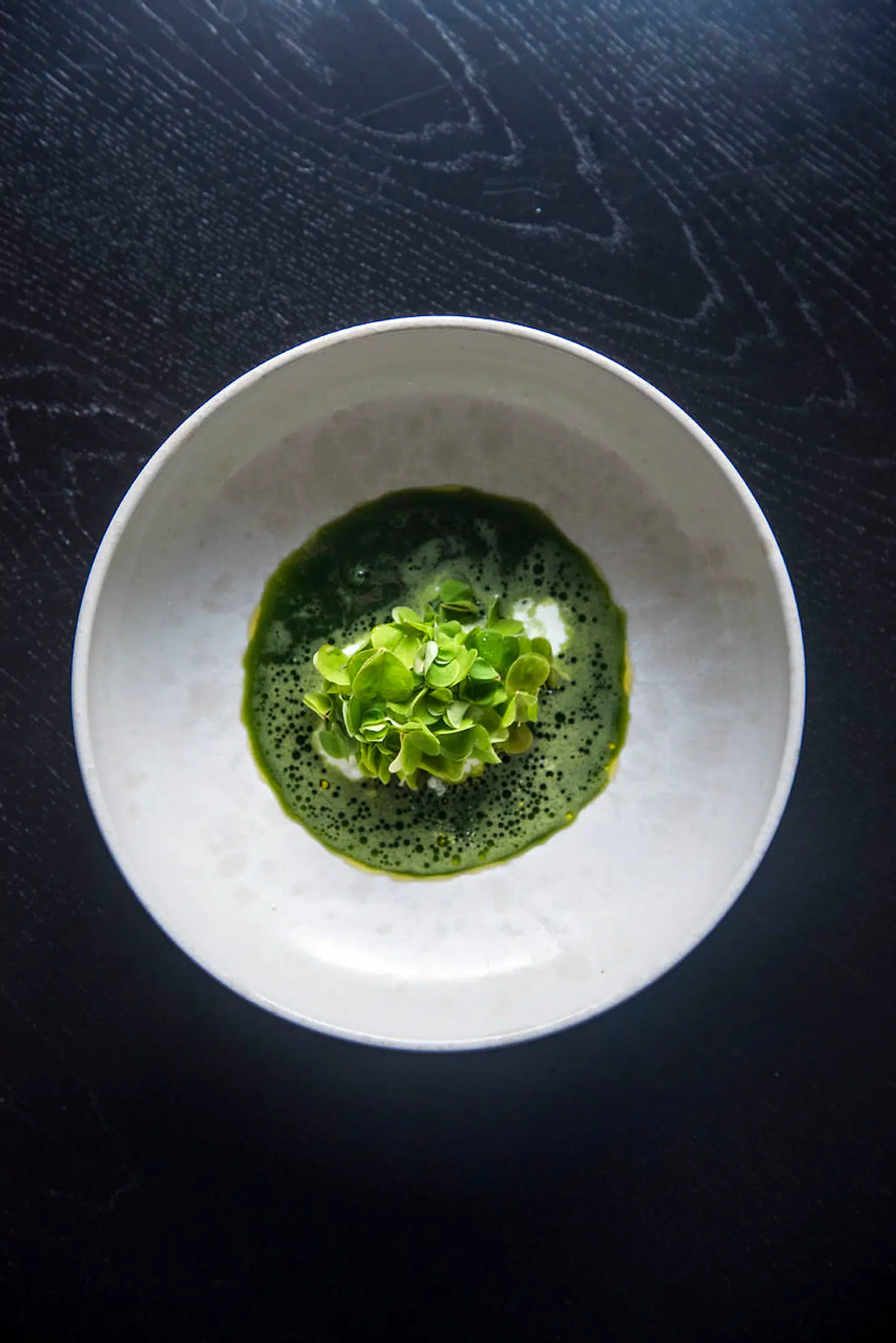 Dessert med hømælk overhældt med smaragdgrønne olier på have- og skovsyre. Fra anmeldelsen af Restaurant Jordnær i Berlingske i 2017.