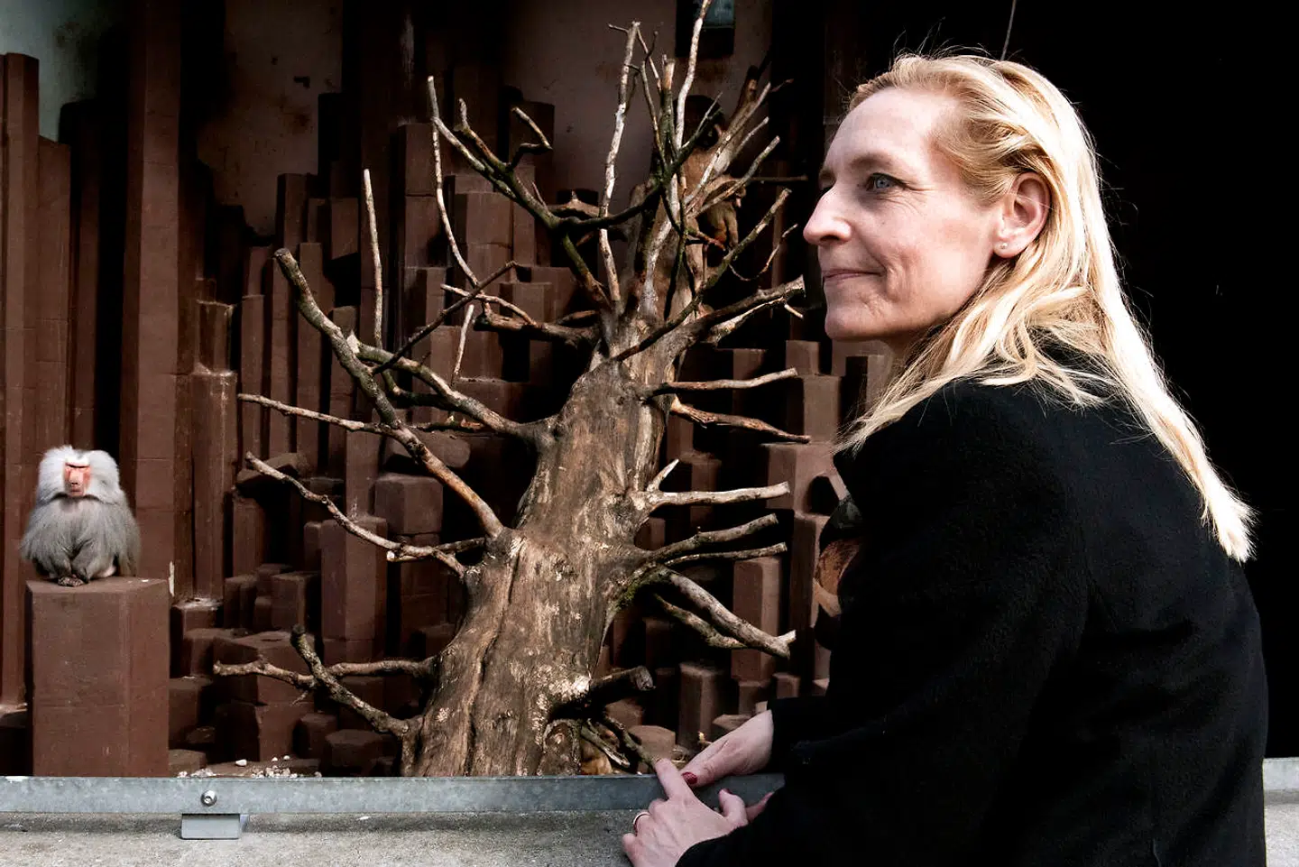 »I gamle dage når vi havde en løve i hælene, så kunne vi i det mindste se, hvad der kom efter os. Nu ved selv en professor i virologi ikke, hvad der kommer til at ske,« siger Jill Byrnit.