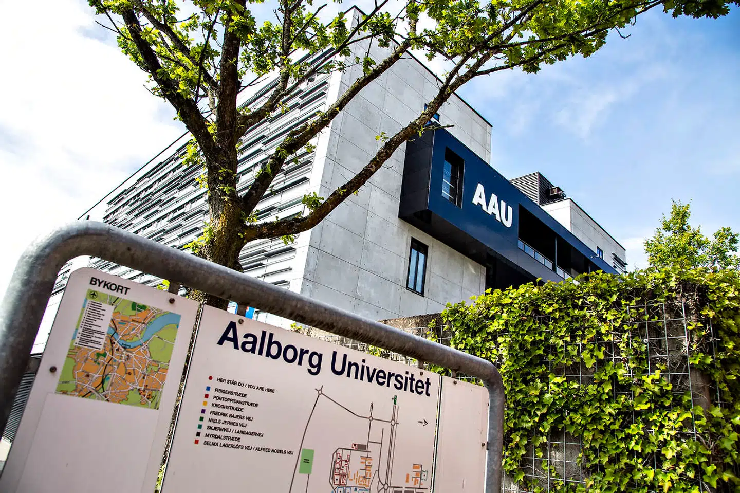 »Vil AAU for forskerstillinger på humaniora så i stedet tilføje de såkaldte »maskuline« ord, for at styrke ligestillingen og få flere mænd til at forske i humaniora? Nej, det tror jeg ikke.«