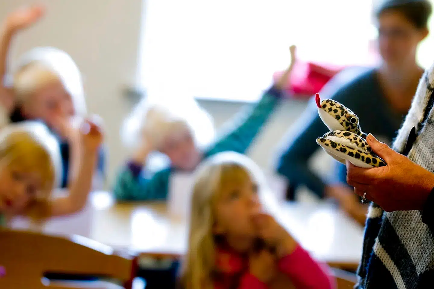 (ARKIV) Børnehave fotograferet den 12. september 2013. Regeringen skrotter talentprogram for studerende og flytter i stedet penge til pædagoguddannelserne. Fin saltvandsindsprøjtning, men ikke nok, mener studerende. Det skriver Ritzau, onsdag den 28. august 2019.. (Foto: Johan Gadegaard/Ritzau Scanpix)