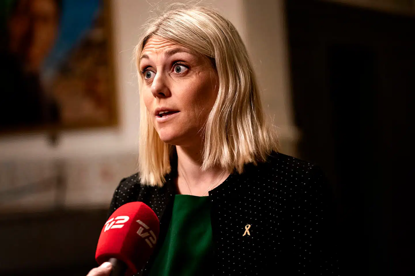 Forsvarsminister Trine Bramsen (S) var i december kaldt i samråd om den mangelfulde kontrol i Forsvarsministeriets Ejendomsstyrelse.