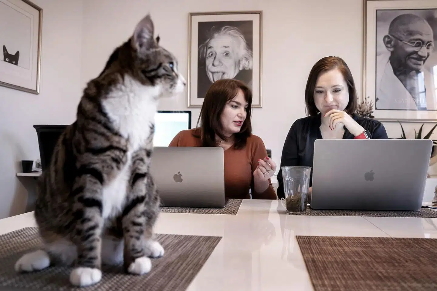 Eva Fog (th.) opgav sin uddannelse inden for techområdet og stiftede DigiPippi. Nu arbejder hun sammen med Rikke Nørdum Sonne (tv.) og firmakatten Mille for at få flere unge piger til at arbejde inden for IT-sektoren.