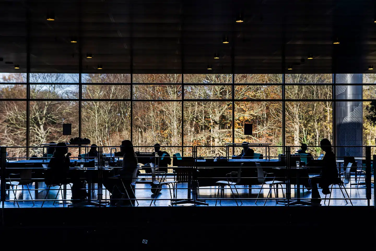 Syddansk Universitet, SDU, tager en række forholdsregler mod coronavirus og lukker samlingssteder på campus. Arkivfoto: Simon Læssøe/Ritzau Scanpix