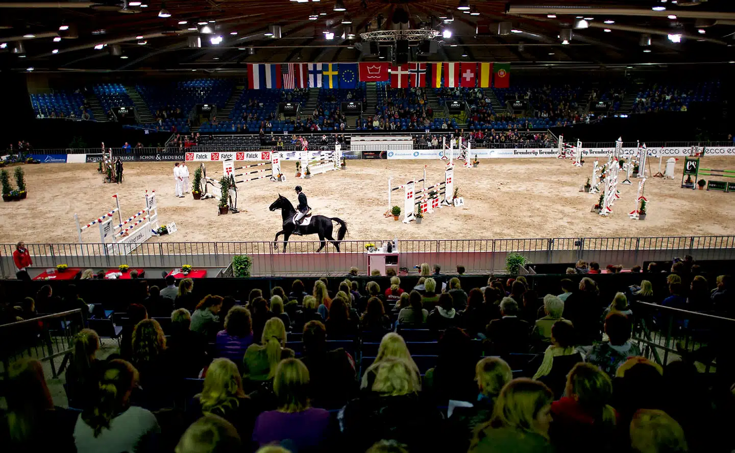 Kritik af Dansk Varmblods hingstekåring der afholdes trods store menneskemængder (arkivfoto).