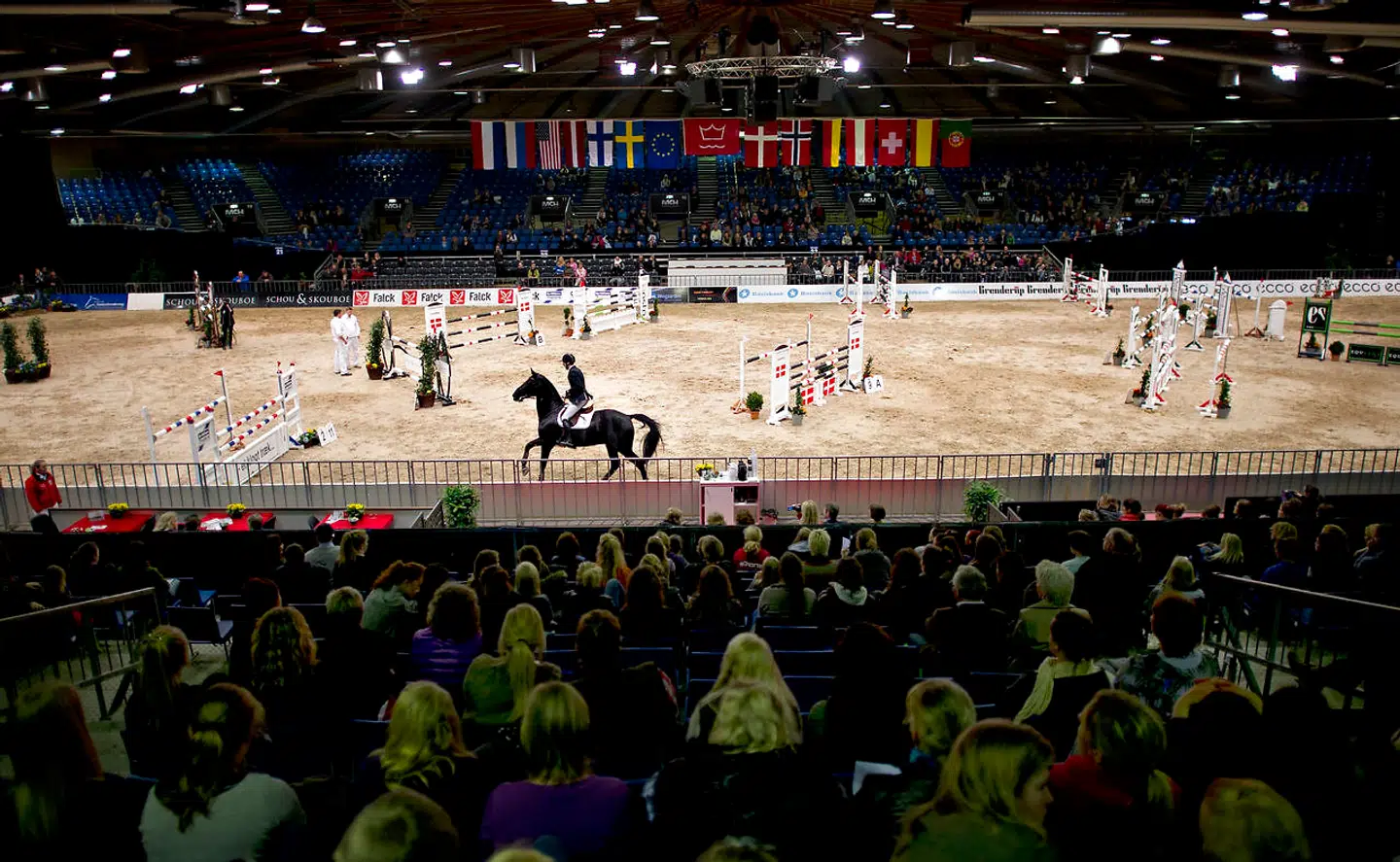 Kritik af Dansk Varmblods hingstekåring der afholdes trods store menneskemængder (arkivfoto).