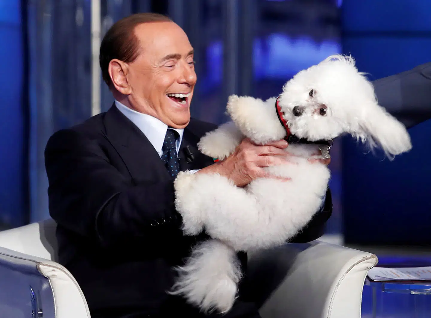 Silvio Berlusconi på slap line i TV-showet »Porta a Porta« med sin elskede Dudù – Italiens mest berømte puddelhund, der blandt andet er kendt for at have spillet bold med Ruslands præsident, Vladimir Putin.