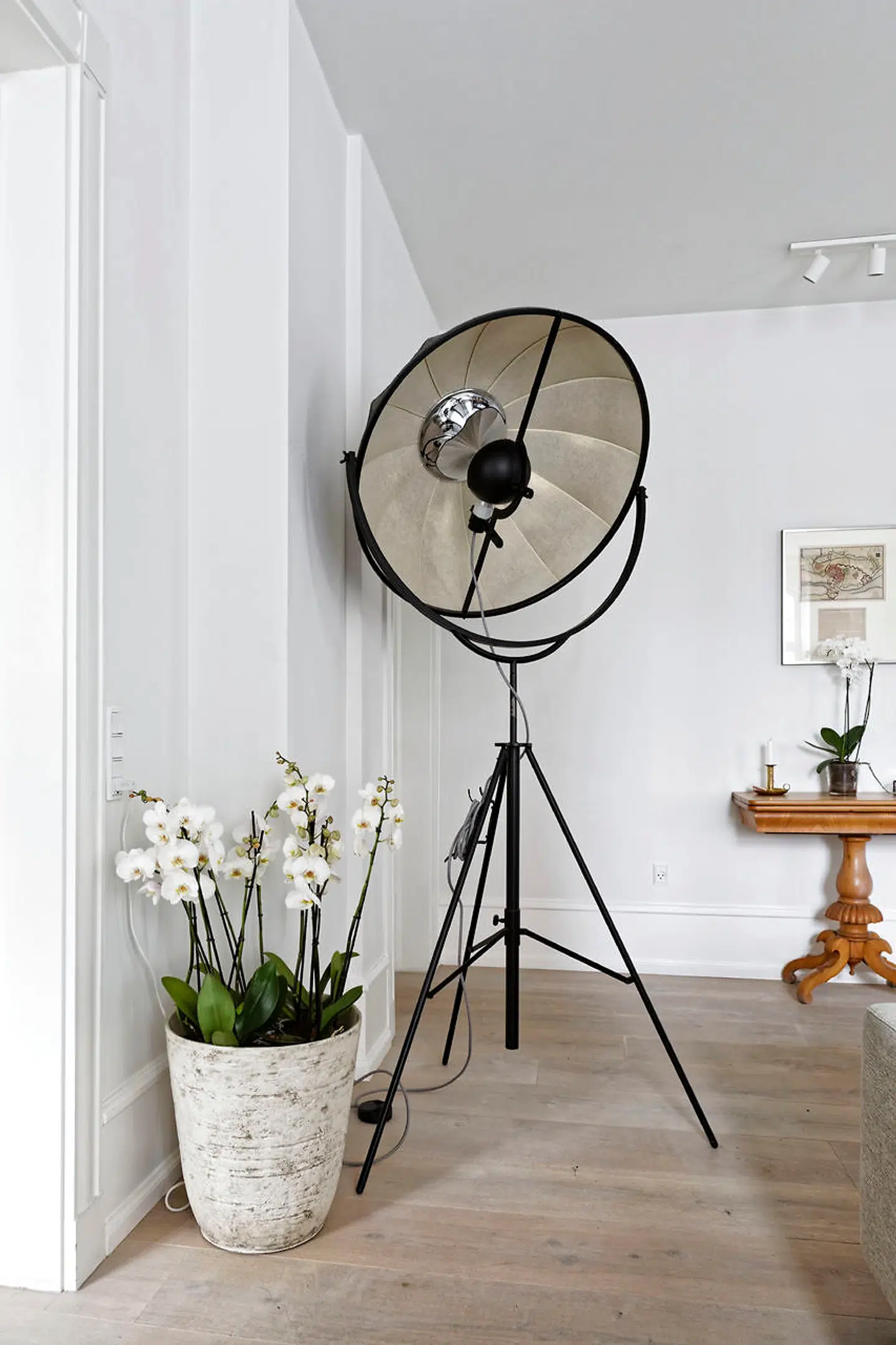 Standerlampen a la filmspot er fra Pallucco Fortuny, mens det antikke spillebord af elmetræ er et auktionsfund.