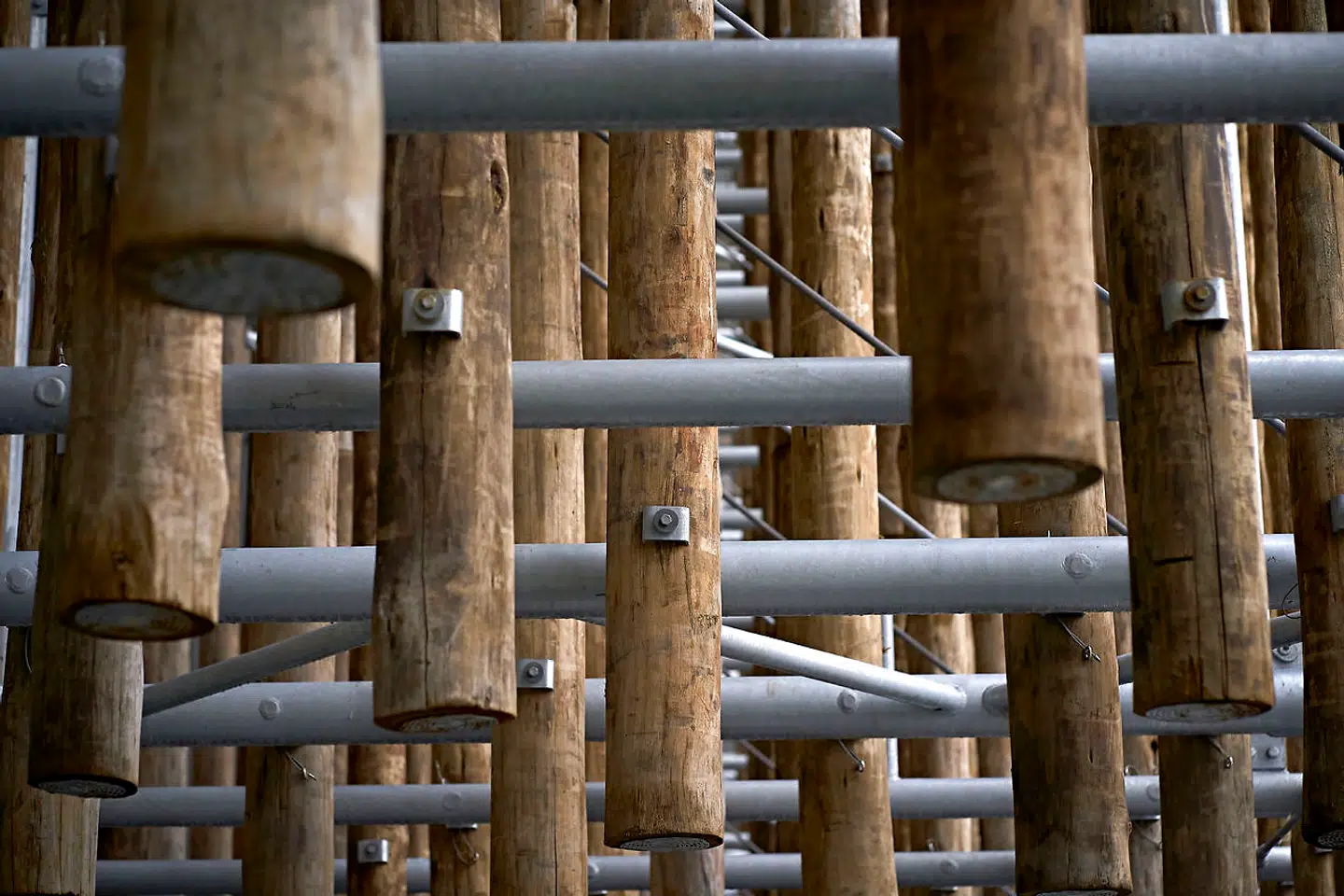 De seks meter lange eucalyptusstammer hænger i et galvaniseret stålgitter, der visuelt fungerer som skovens grene.