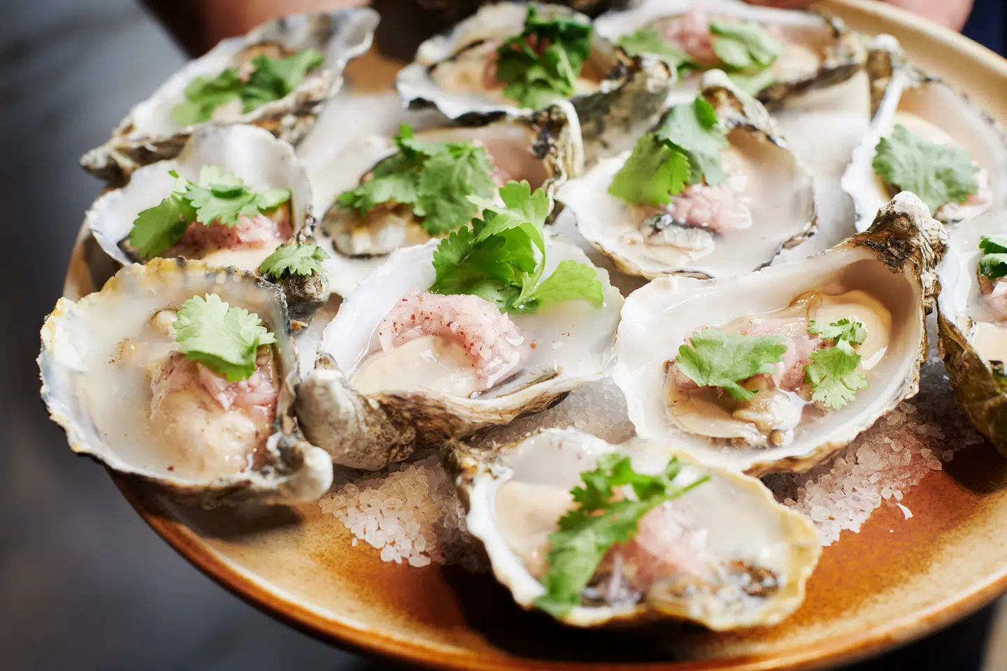 Københavnerhotellet Villa Copenhagen åbner ny restaurant til april.