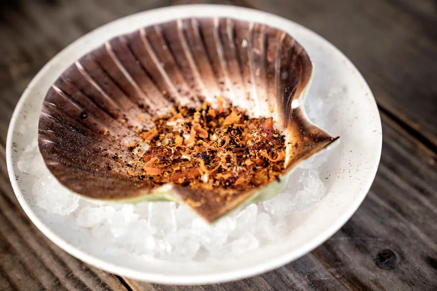 Rå, hånddykket norsk kammusling toppet med blåmuslingelakrids.