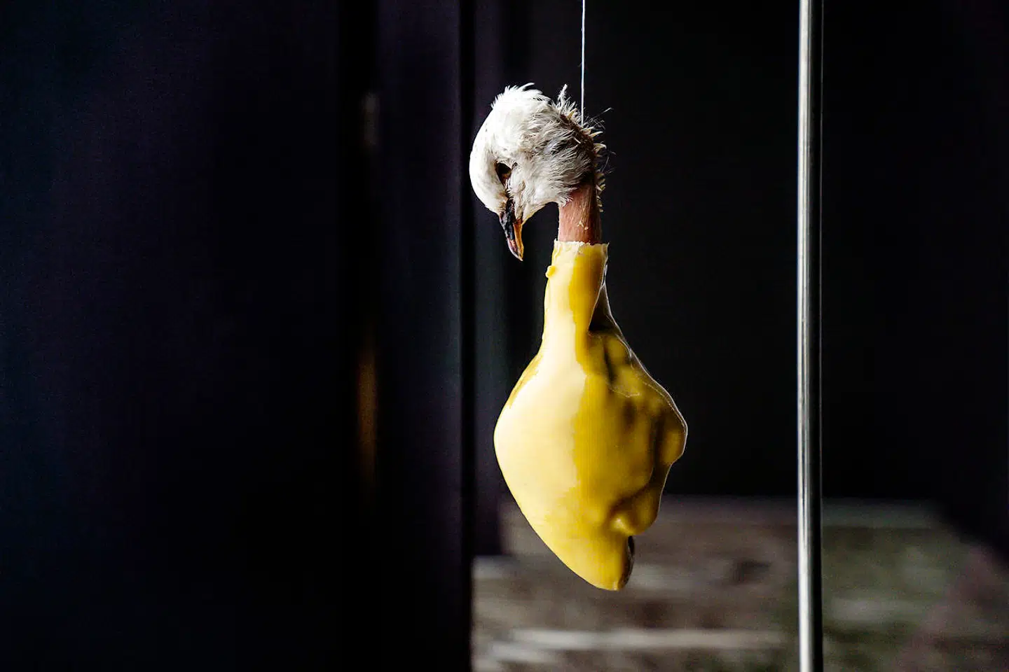 »Due, mørnet og langtidstilberedt under utallige lag bivoks og til sidst nænsomt grillet, er den mest velsmagende due, jeg nogensinde har fået.«