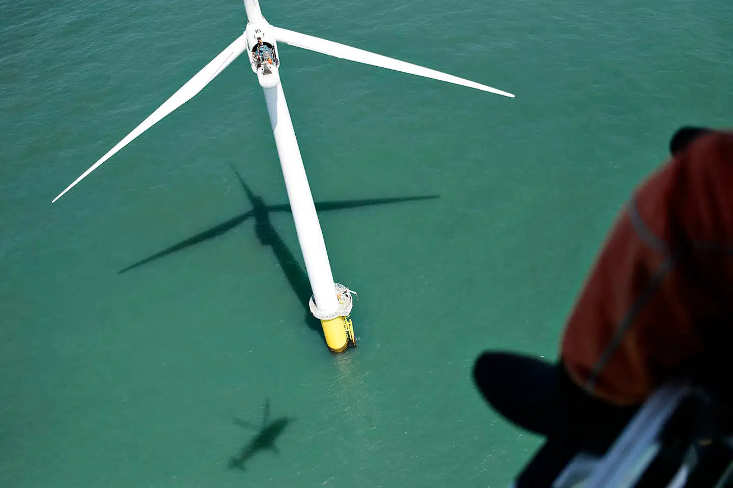 Vindmøllegiganten Vestas og LM Wind Power står alene for 47 procent af alle danske patentansøgninger på det grønne område. Arkivfoto: Mathias Løvgreen Bojesen/Ritzau Scanpix