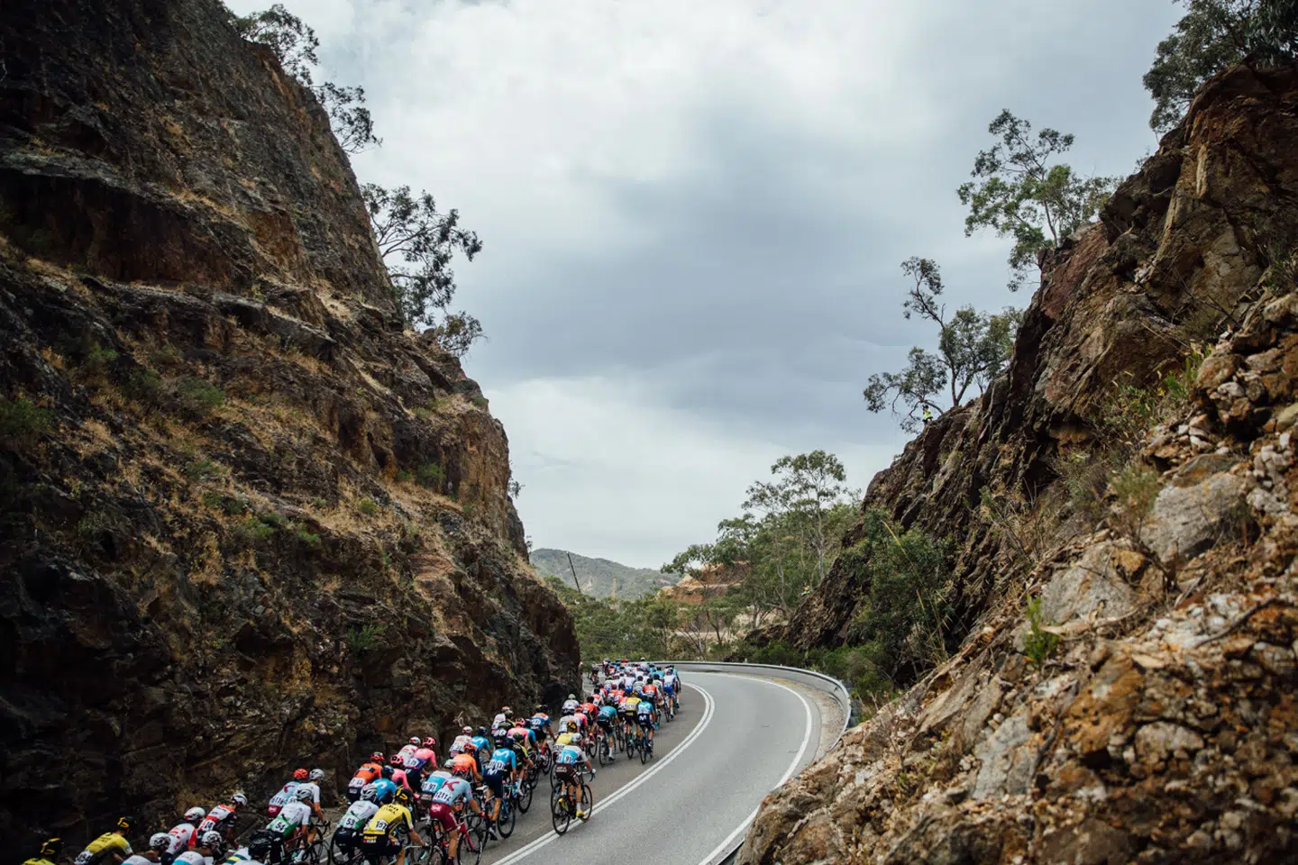 Adelaide er hvert år i januar værtsby for den sydlige halvkugles største etapeløb, Tour Down Under, hvor de også tager den bakkede omegn i brug.