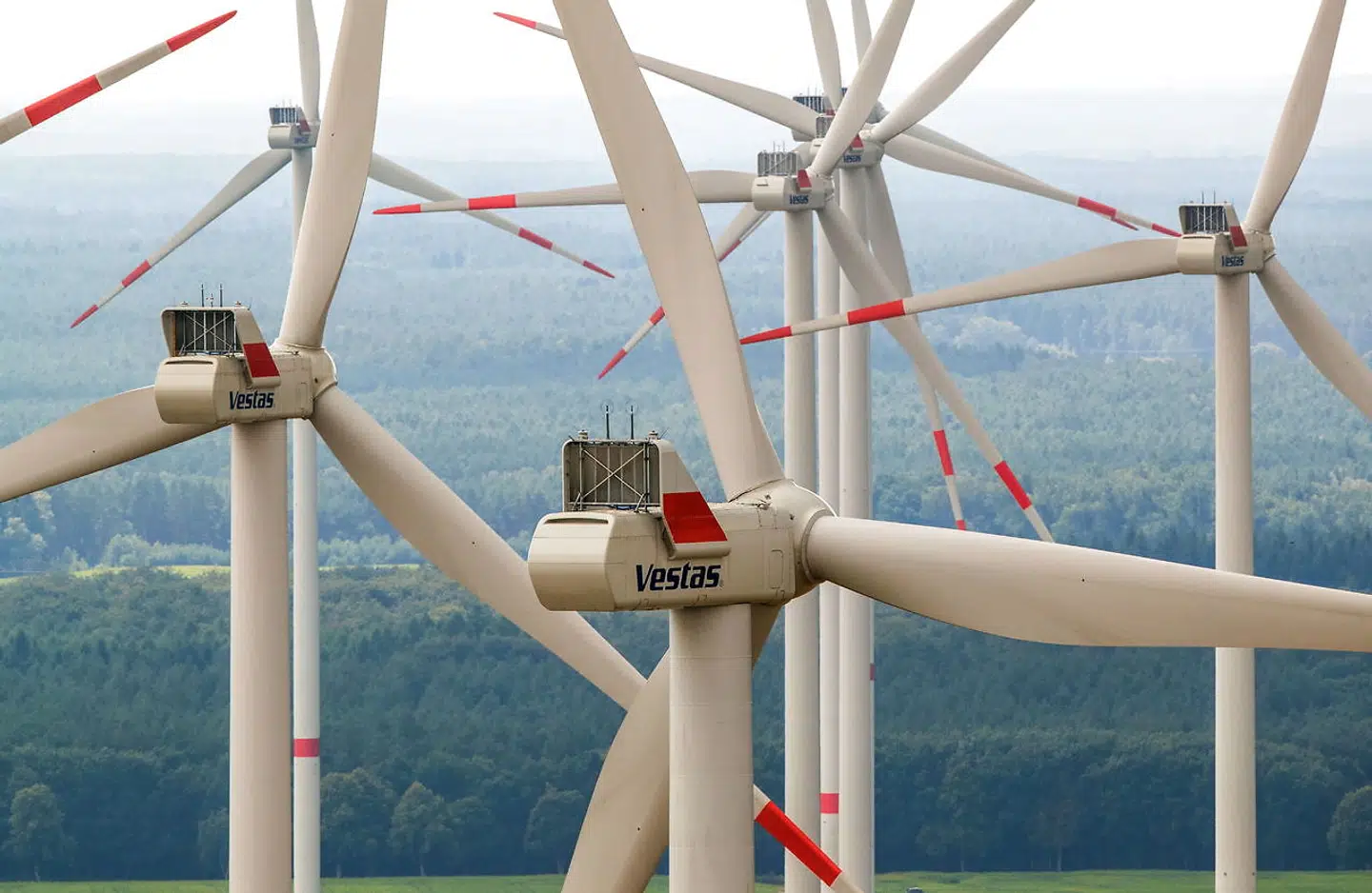 Onsdag morgen kom Vestas' regnskab for 2019, som viste et rekordår i forhold til ordrer. Arkivfoto: Jens Buettner/Reuters/Ritzau Scanpix