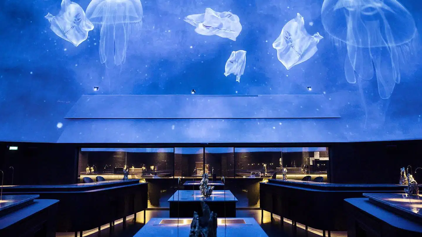 Alchemist åbnede i sommeren 2019 på Refshaleøen i København. Skal man en tur med i manegen, er det nu man skal booke bord.