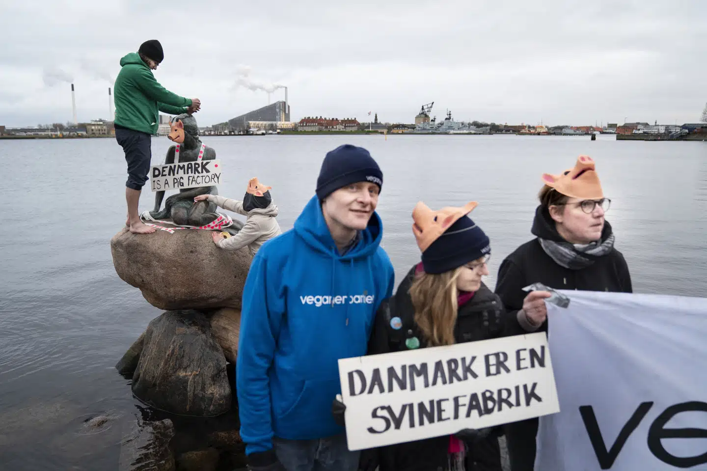 Veganerpartiet protesterede onsdag eftermiddag mod dansk griseproduktion. Det skete ved at partiet iklædte Den Lille Havfrue en lyserød grisemaske og tape, der skal symbolisere pladsforholdene i den danske svineproduktion. Liselotte Sabroe/Ritzau Scanpix