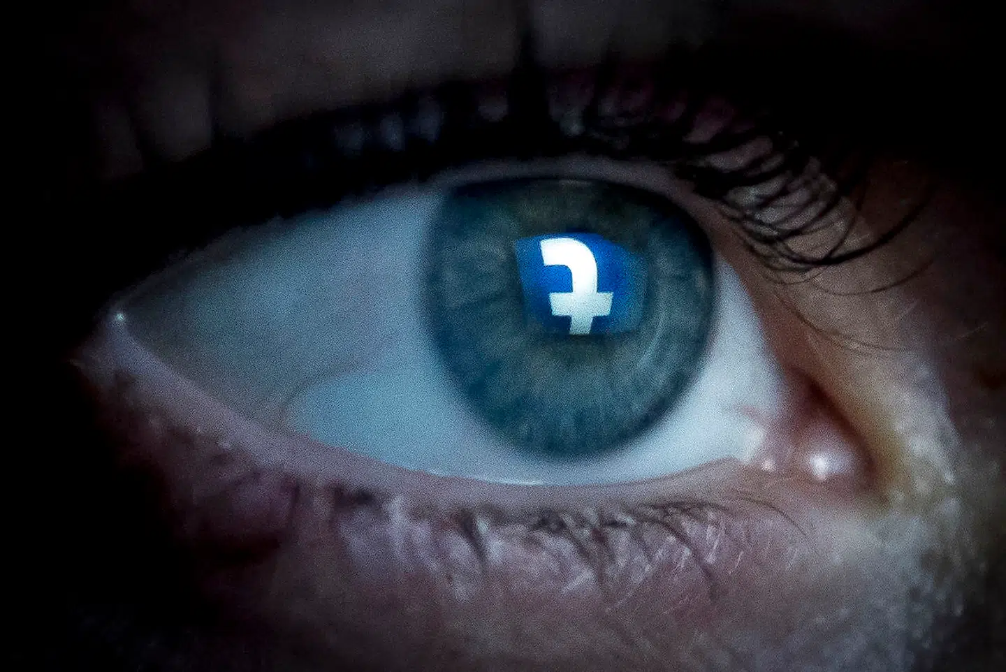 Reaktionen var stor på Jyllands-Postens hjemmeside og profil på Facebook, da satiretegningen blev offentliggjort.