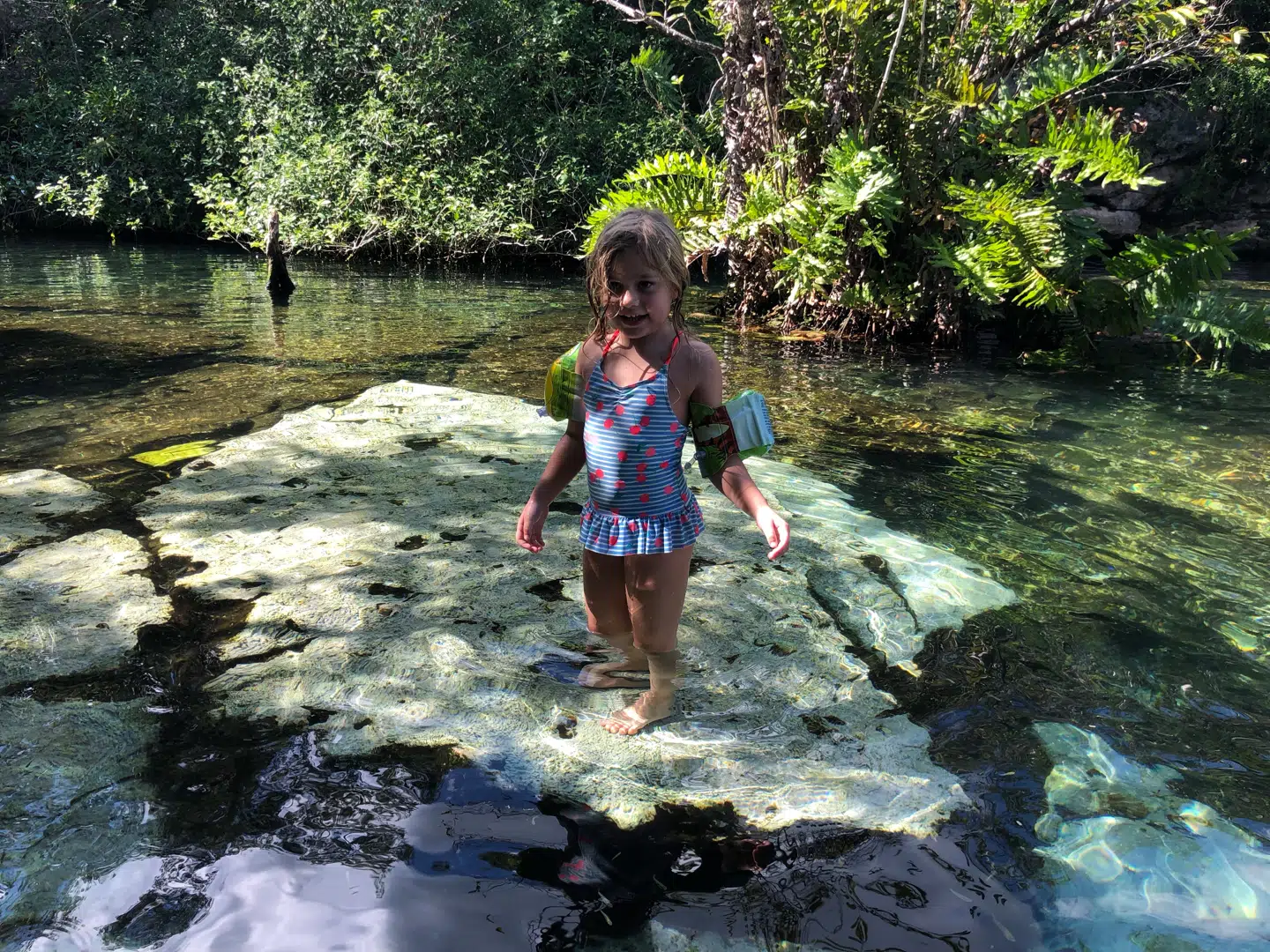 Der findes tusindvis af cenotes, ferskvandshuller, over hele Yucatán-halvøen. Nogle er underjordiske, andre er helt åbne som Cenote Azul, vi besøgte uden for Akumal.