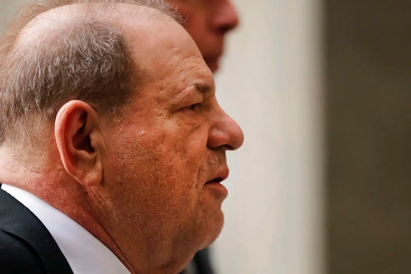 Harvey Weinstein voksede op i Queens i New York og startede sin karriere som musikarrangør i byen Buffalo. Siden fik han megasucces i filmbranchen i Los Angeles og New York.