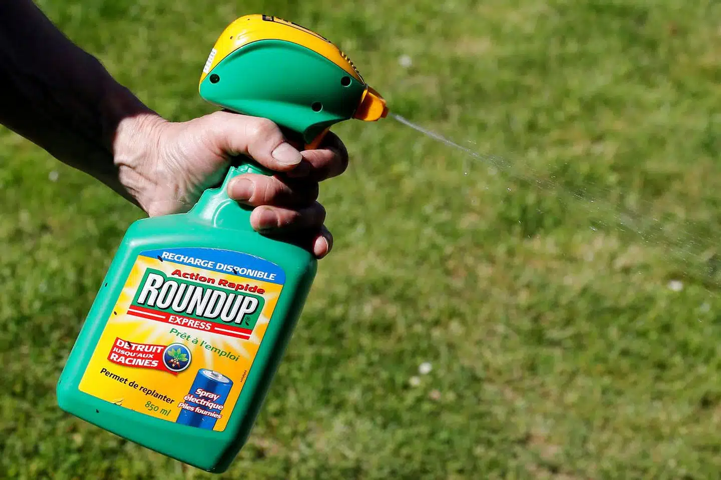 »Men når Ida Donkin i sit indlæg skriver, at »for nuværende er glyfosat nødvendig for at tilgodese miljø, biodiversitet og klima bedst muligt,« så bevæger den lægeuddannede Donkin sig derimod ind på mit fagområde, og jeg må kraftigt protestere,« skriver Maria Reumert Gjerding.