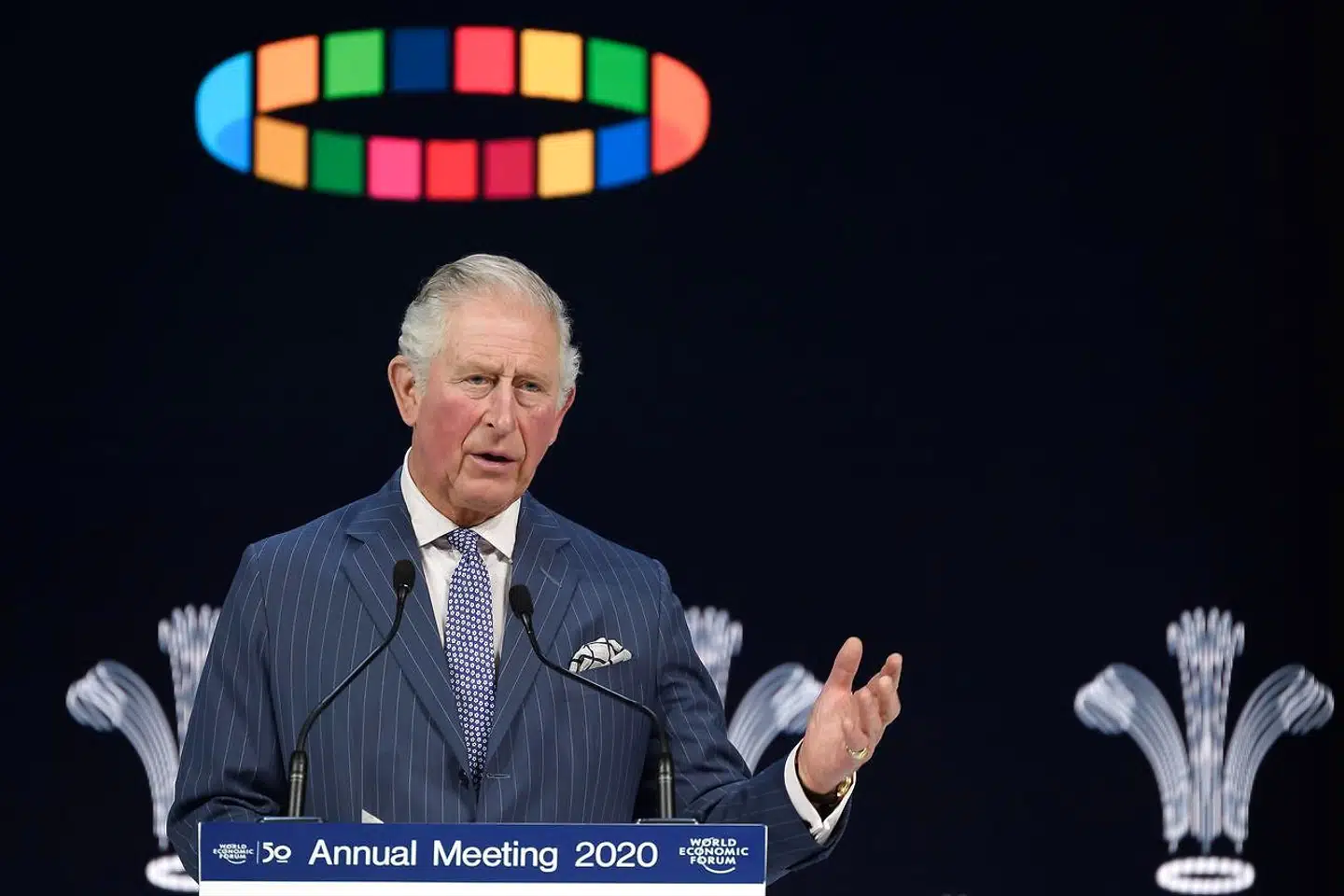 Prins Charles appellerede på topmødet i Davos til at passe bedre på kloden og sikre en grøn omstilling - nu.