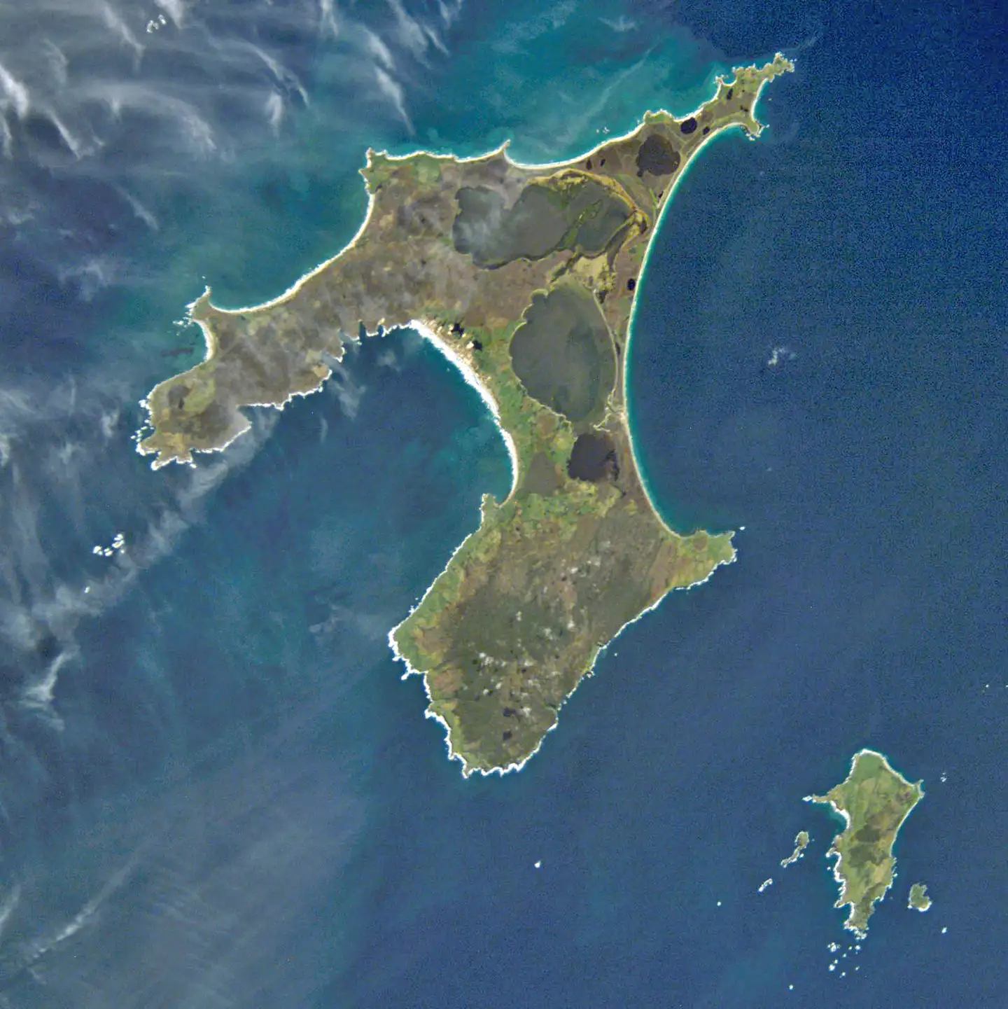 Havet omkring de newzealandske Chathamøerne er helt usædvanligt varmt. Chathamøerne ligger nær Danmarks såkaldte antipode. Det vil sige det stik modsatte sted af Danmark på planeten.