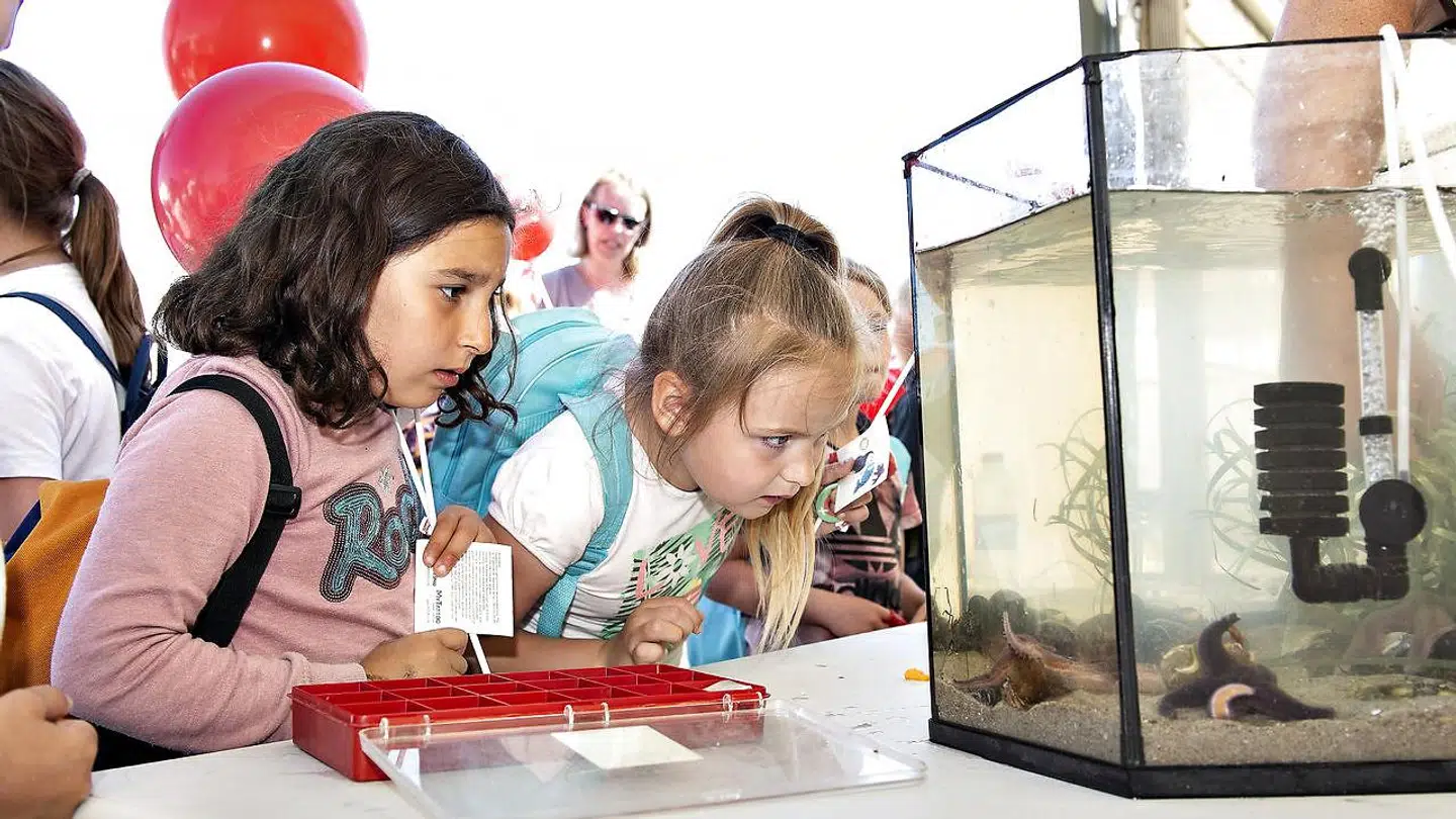 »Det er indlysende, at svagt begavede elever skal have hjælp. At højt begavede også behøver hjælp er kun synligt for de skoler, de mistrives i og for deres forældre,« skriver Jeppe Lilholt.