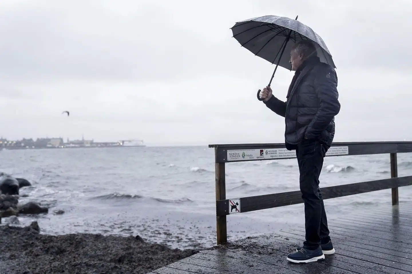 Udsigten til store krydstogtskibe i Helsingør Havn har fået Jan Flintrup og andre borgere i byen op i det røde felt.