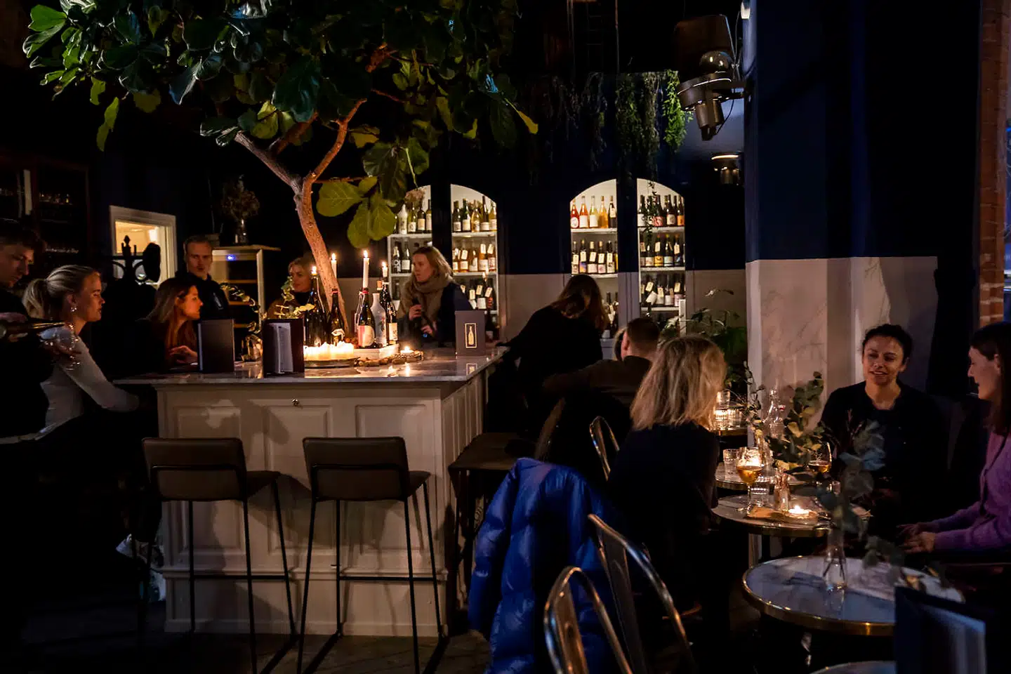 Der er så mørkt på Vinoria Lilo, at vi tre gamle mænd konstant måtte have lommelygterne i vores mobiler i brug for at kunne tyde vin- og menukort og etiketter.