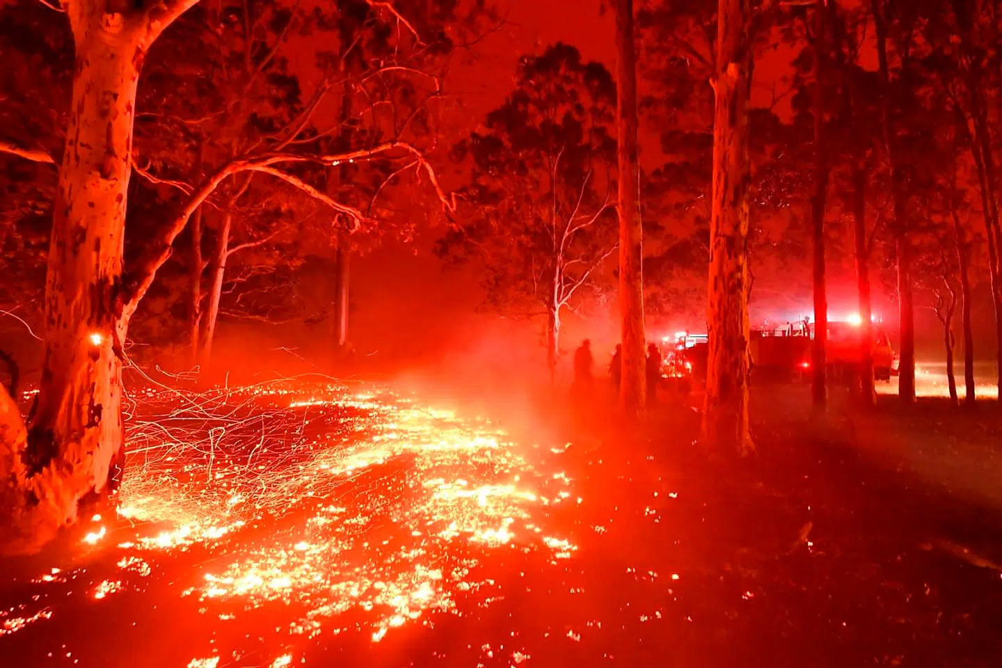 De ekstremt omfattende og intense australske skovbrande er ikke kun gået hårdt ud over dyrelivet. Mindst 28 mennesker er foreløbig omkommet i flammehavet, herunder tre brandfolk.
