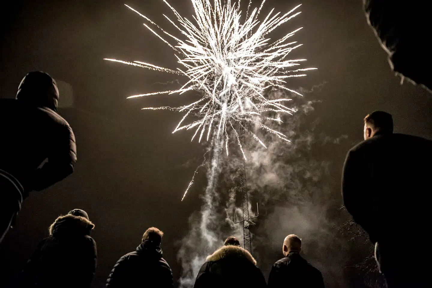 »Dyrene er således i den grad udsat for en unødig smerte, som de bør være forskånet for,« skriver Lise Rovsing, dyrlæge.